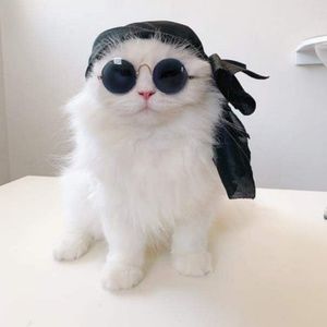 Meet your Posher, Jocelyn